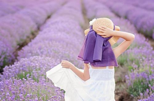 爆款小说（鹤别空山踏明月：大结局+后续小说）孟谦荀霍萧楚全文在线完本阅读