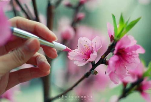 (番外)+(结局)周泽轩江雪曦（特工老婆变心后，我选择假死离开：结局+番外）全文免费阅读无弹窗大结局_(周泽轩江雪曦)最新章节列表_笔趣阁（特工老婆变心后，我选择假死离开：结局+番外）