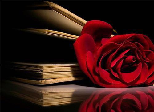 小说男友和女兄弟越界做秘密夫妻，这婚我不结了主角为沈瓷谢云洲免费阅读