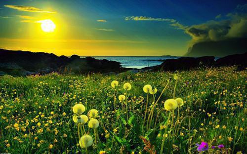 完结版小说妹妹被富二代害死后，我杀疯了第5章阅读